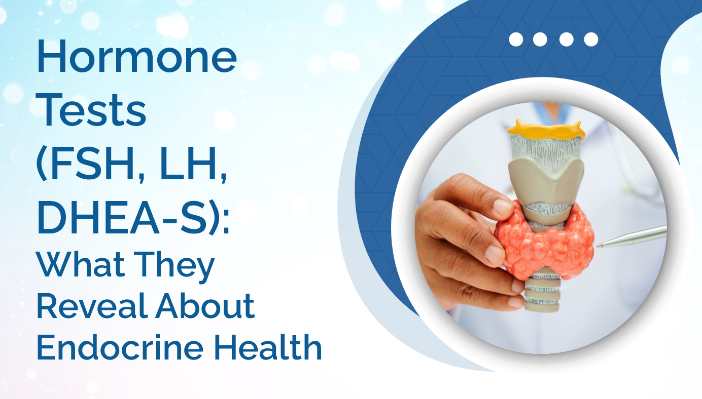 Hormone Tests (FSH, LH, DHEA-S): What They Reveal About Endocrine Health